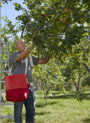 Le Verger patrimonial du Témiscouata