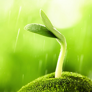Agroalimentaire